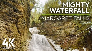 8 HRS White Noise of a Forest Waterfall & Gentle Birds Songs - Margaret Falls on a Snowy Day, Canada