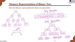 Memory Representation of Binary Tree | Binary Tree | L 92 | Data Structures & Application News