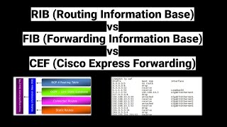 Difference Between RIB, FIB and CEF