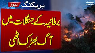 Major Wildfires Break out Across British Forests, Heathland | SAMAA TV