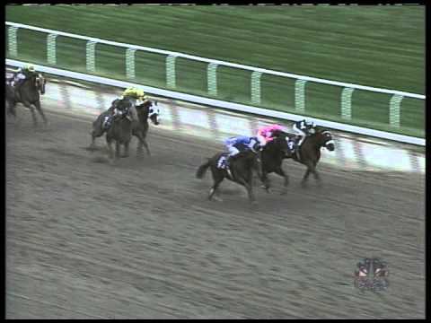 tvg breeders cup