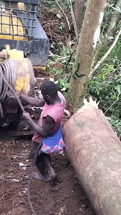 bulldozer pulling logs using winch