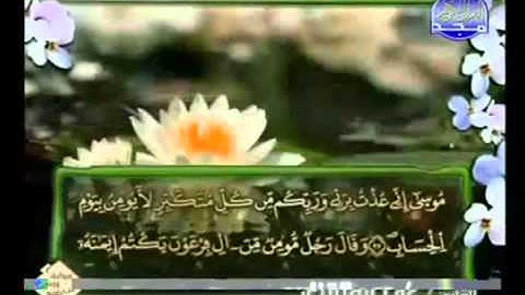 الجزء الرابع والعشرون (24) من القرآن الكريم بصوت الشيخ عمر القزابري