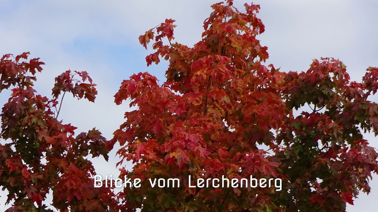 Lerchenberg Quohren 4K