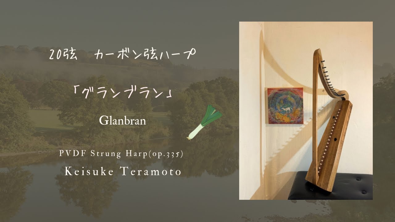 楽器紹介】金属弦ブレイハープ(op.344) ｜ハープ 寺本圭佑