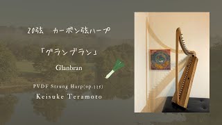 楽器紹介】金属弦ブレイハープ(op.344) ｜ハープ 寺本圭佑