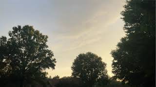 SCP more like uhhh | new streamer your support is appreciated!!!