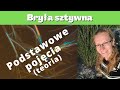 Bryła sztywna - podstawowe pojęcia (teoria)