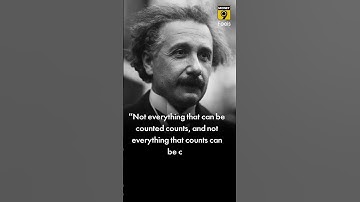 Albert Einstein Quotes - Not everything that can be counted counts..