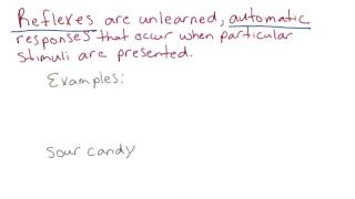 Reflexes - Intro to Psychology