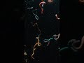 Are these palolo worms dancing?! 🤔 #WelcomeToEarth #StepIntoWonder