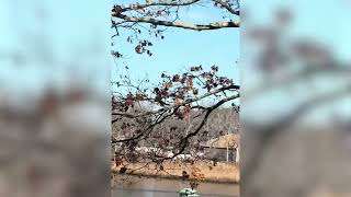 Woman Uses Kayak to Rescue Jet Skier Who Fell Into Frozen Creek