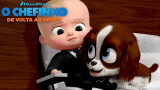 Uma Missão Au-Lucinante Trabalhando Com Cãezinhos O Chefinho De Volta Ao Berço Netflix