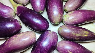 Stuffed Mini Eggplant Cooked in a Pan. Snacks Recipe.