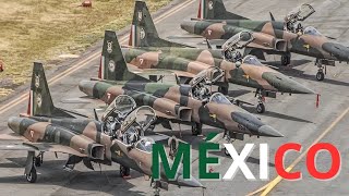 México ¿Por qué solo 12 aviones supersónicos?