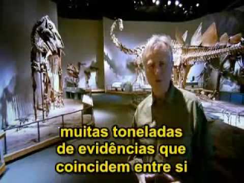 Richard Dawkins - A Raiz de Todo o Mal: Deus, um D...