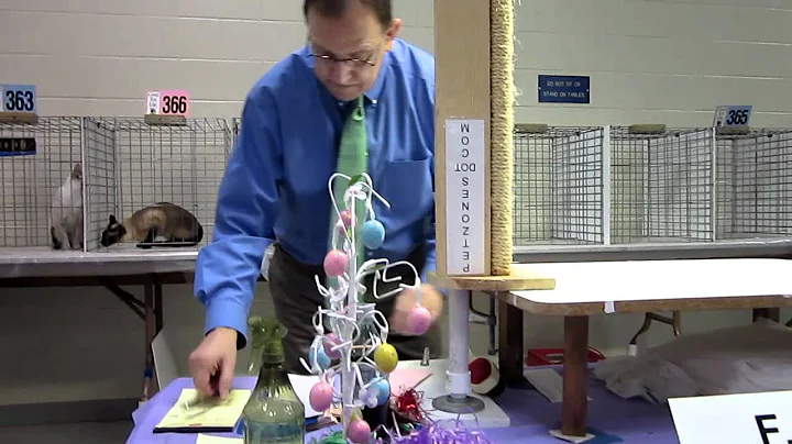 Video 4787391: thai siamese, cat show