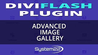 Celebrity DiviFlash Plugin Advanced Image Gallery 👈 Profile