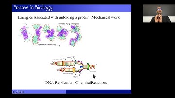Biological Physics (CMP-BIO) Lecture 4