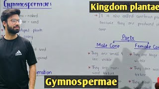 Life cycle of pinus | gymnosperms Characteristics | Class 11 Biology