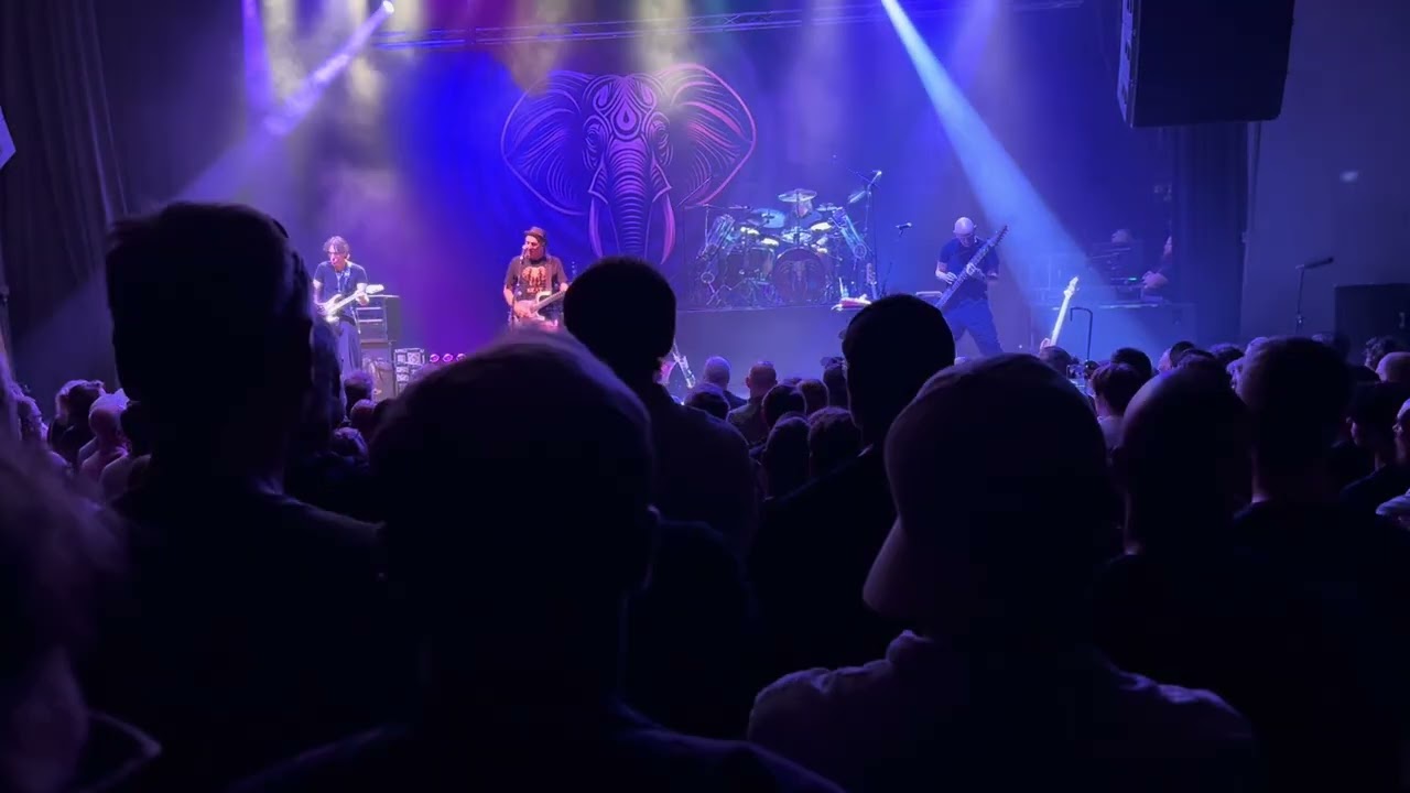 Watch BEAT - Elephant Talk live Oslo, 23 July 2026 on YouTube Watch BEAT - Elephant Talk live Oslo, 23 July 2026 on YouTube