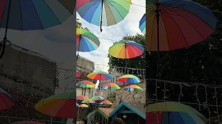 Şemsiyeler Havada Asılı Şfetteyiz