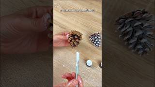 A Super Winter Decor Idea with Pinecones. DIY