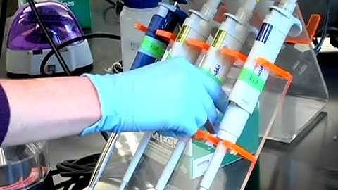 RNA sequencing with Lara