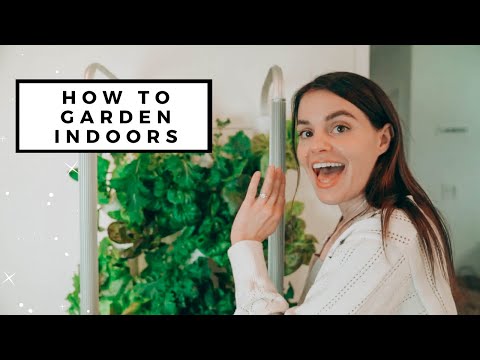 Wideo: Wskazówki dotyczące ogrodnictwa warzywnego: Rozpoczęcie ogrodnictwa przydomowego na swoim podwórku