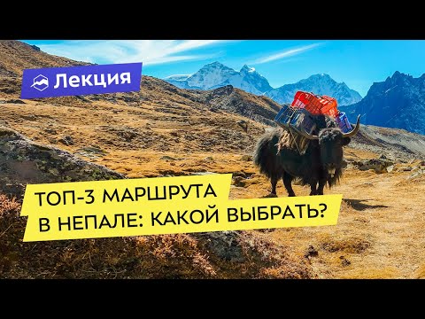 Видео: 12 лучших походов в Непале