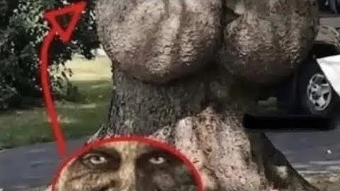 Goofy ahh mystical tree