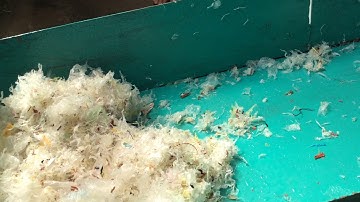 Pulp Tailing Screening Reject Separator For Corrugated/Fluting Pulping Line For Yuenan Paper Mill