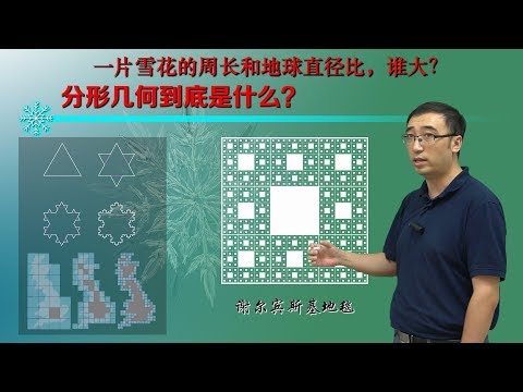 Teacher Li Yongle speaks fractal geometry