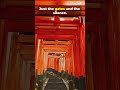Things You Can ONLY Do in Japan