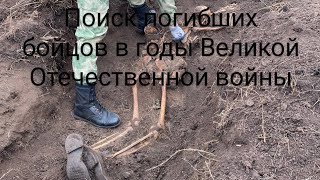 Военная археология,поиск павших  бойцов Красной Армии / Military archeology.