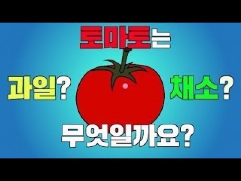 토마토는 과일인가채소인가?