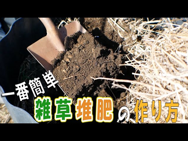 一番簡単な雑草堆肥の作り方 雑草や野菜の残渣から堆肥を作って野菜を育てる 無限の循環で地球にもお財布にも優しくてsdgsなサステナブル Youtube