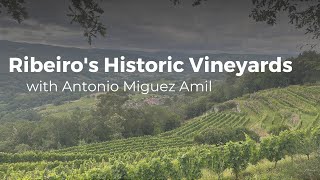 On Location in Ribeiro with Antonio Míguez Amil of Boas Vides