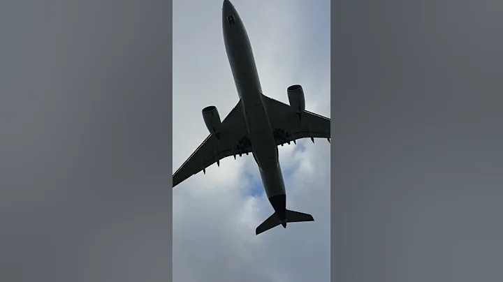 🫡💥 Epic Airbus A350 landing #aviation #planespotting #airbus #aircraft #epic #reel