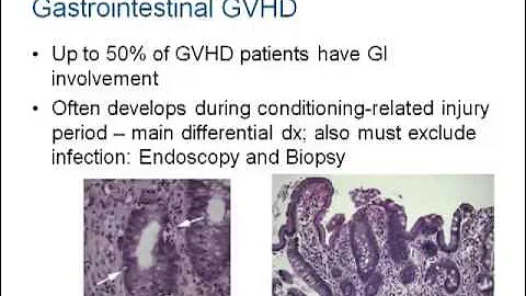 BMT 101 Lecture for APPs - NPs, PAs, Fellows and Jr Faculty