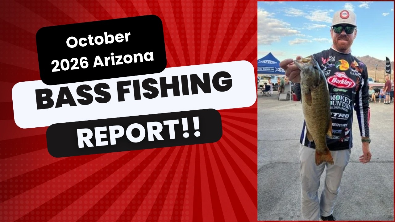 October 2026 Arizona Bass Fishing Report