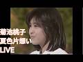 菊池桃子 夏色片想い LIVE (한글 자막)