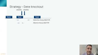 Tools & Strategies for Implementing iPSC-based Cell Models for Neurodegenerative Disease Drug Dis...