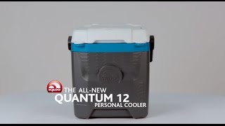 igloo quantum 28 cooler review