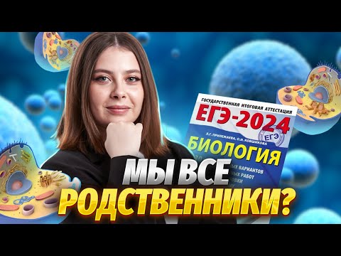 Клеточная теория для ЕГЭ | Биология ЕГЭ для 10 класса | Умскул