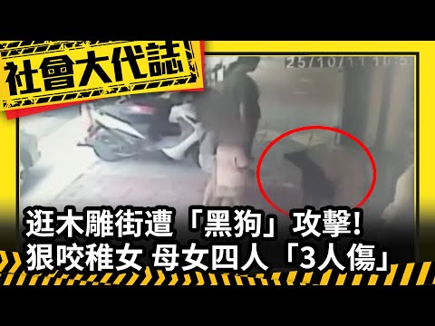 《社會大代誌》 逛木雕街遭「黑狗」攻擊狠咬稚女! 母女四人「3人傷」