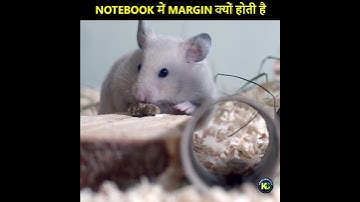Notebook में Margin क्यों होती है | Notebook margins is not for good writing #Shorts