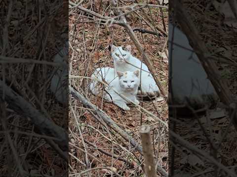 릿지 규리야 강풍 조심해라