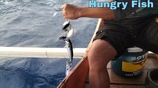 Hungry Fish in Celebes Sea/ Sobrang takaw ng mga isda/Depan Fishing screenshot 1