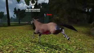 The Safari Hunting screenshot 1